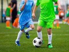 迪马济奥,若售出弗拉,泰西,开云体育,开云体育官网,开云体育app,开云体育app下载